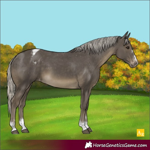 Horse Color:Silver Smoky Black Appaloosa 