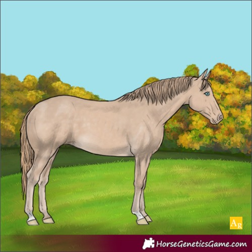 Horse Color:Smoky Creme 
