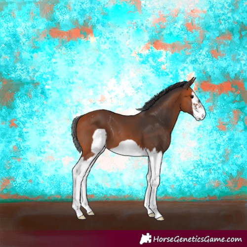 Horse Color:Bay Splash Frame 