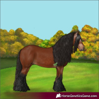 Horse Color:Gray Bay