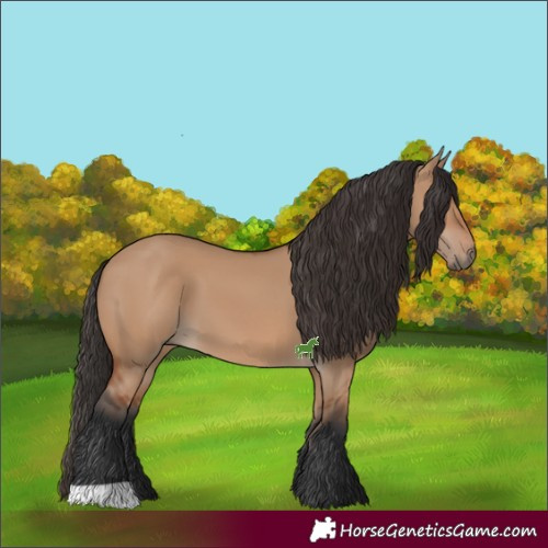Horse Color:Bay Dun
