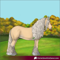 Horse Color:Palomino
