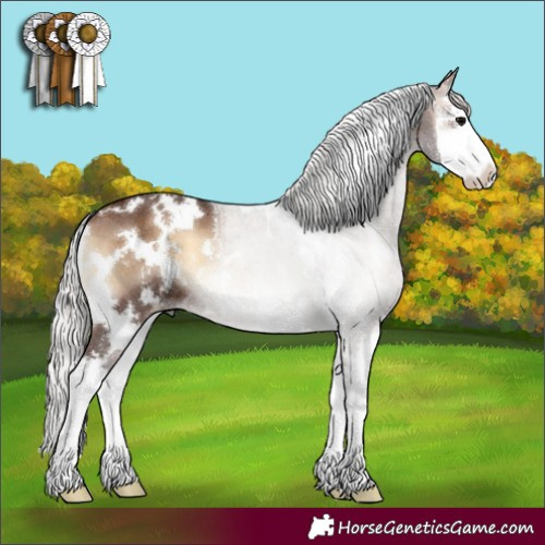 Horse Color:White Spotted Silver Brown Onyx Splash