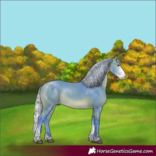 Horse Color:Watercolor Silver Brown Sabino Appaloosa Rabicano 