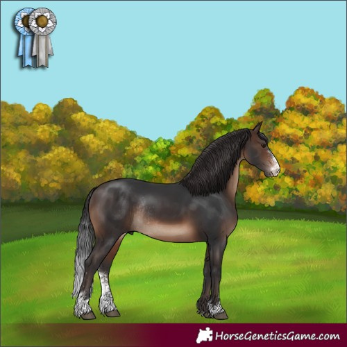 Horse Color:Brown Sabino Rabicano 
