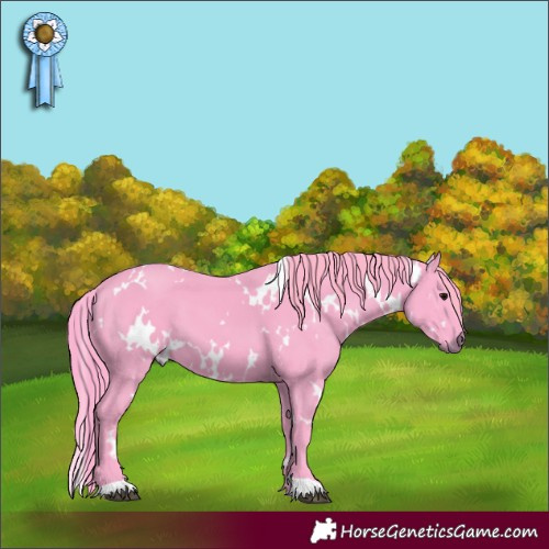 Horse Color:Watercolor White Spotted Black 