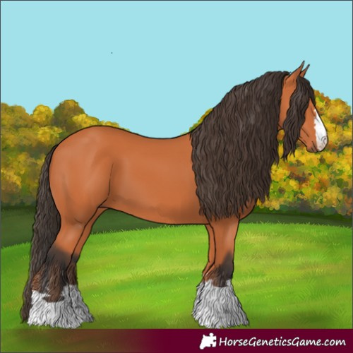 Horse Color:Unknown 