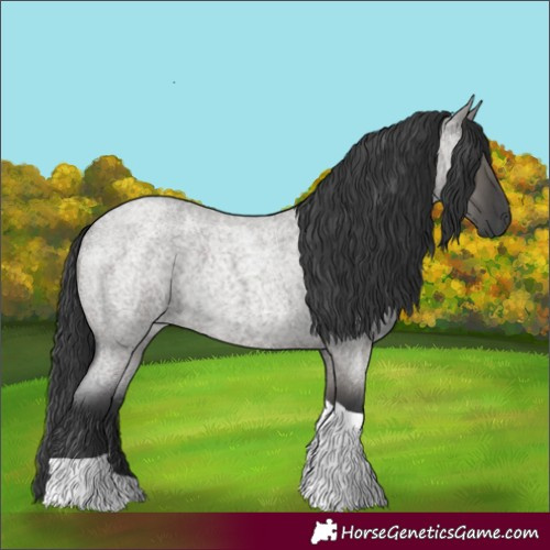 Horse Color:Grullo Roan Tobiano 