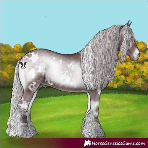 Horse Color:White Spotted Chocolate Silver Blue Onyx Chinchilla 