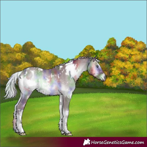 Horse Color:Nacre White Spotted Chocolate Silver Blue Onyx Chinchilla 