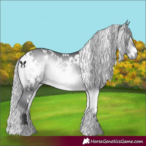 Horse Color:White Spotted Silver Bay Chinchilla Onyx 