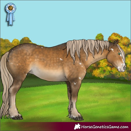 Horse Color:White Spotted Chocolate Palomino Mushroom Splash Rabicano