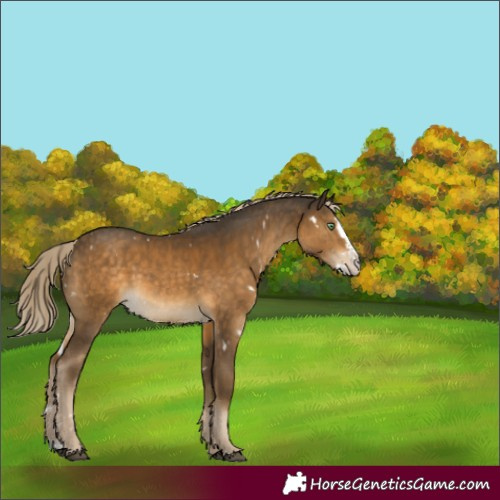 Horse Color:White Spotted Chocolate Palomino Mushroom Splash Rabicano 