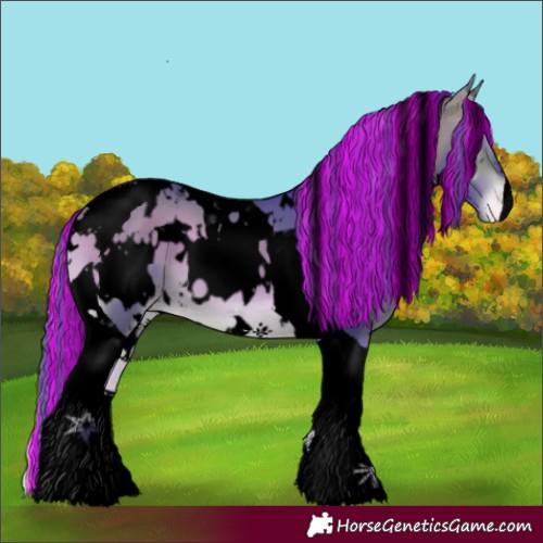 Horse Color:Void Painted Watercolor White Spotted Brown Onyx Tobiano Appaloosa 