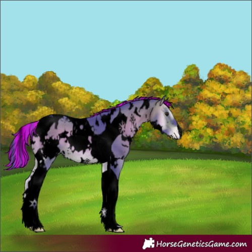 Horse Color:Void Painted Watercolor White Spotted Brown Onyx Tobiano Appaloosa 