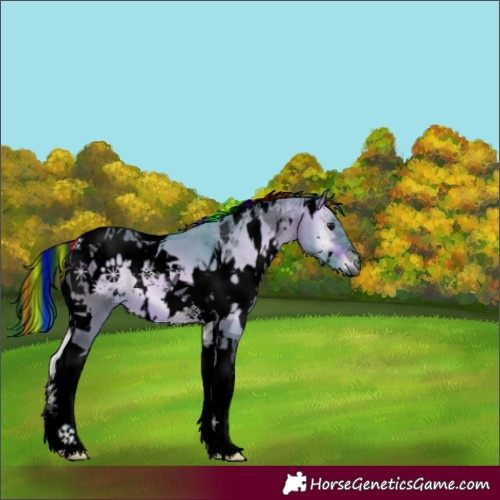 Horse Color:Void Painted Watercolor White Spotted Bay Onyx Tobiano 