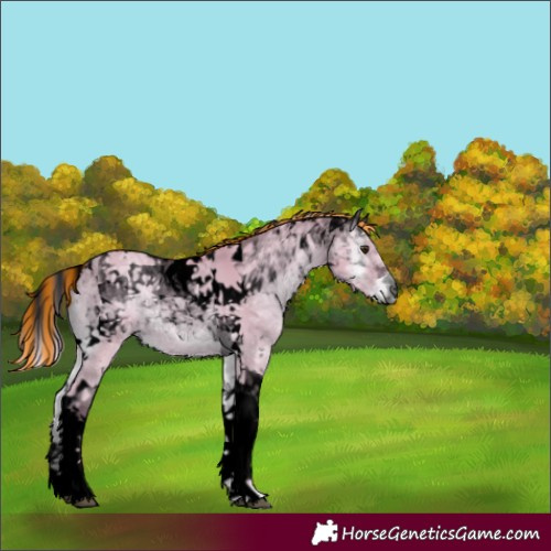 Horse Color:Void Painted Watercolor Silver Bay Ice Onyx Tobiano 