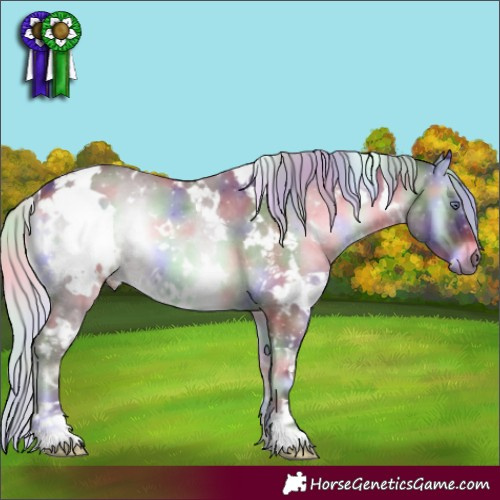 Horse Color:Nacre White Spotted Chocolate Silver Blue Onyx Chinchilla