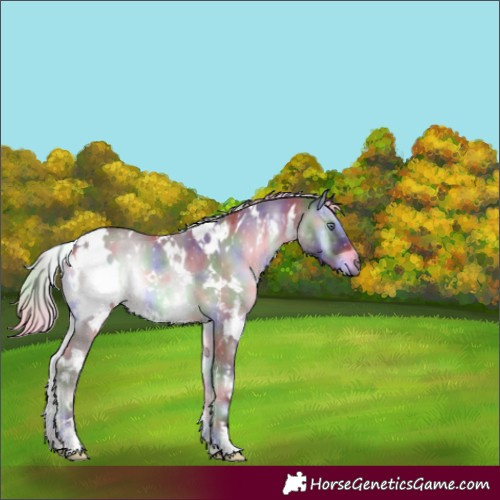 Horse Color:Nacre White Spotted Chocolate Silver Blue Onyx Chinchilla 