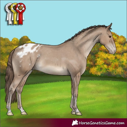 Horse Color:Classic Champagne Varnish