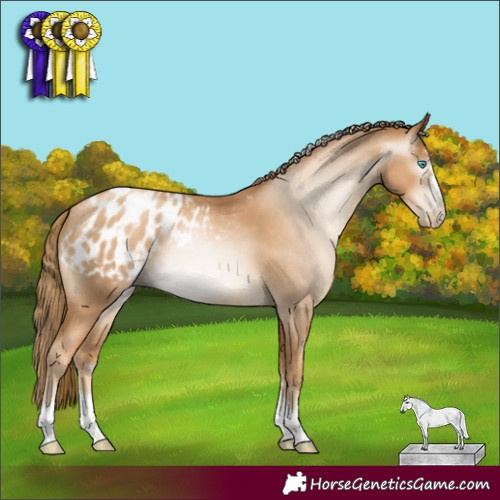 Horse Color:Gray Gold Champagne Pearl Varnish Rabicano