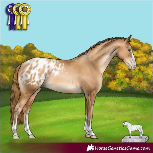 Horse Color:Gray Gold Champagne Pearl Appaloosa Rabicano