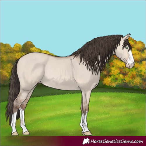 Horse Color:Amber Champagne Dun Rabicano
