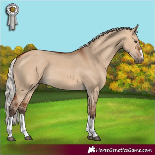 Horse Color:Silver Bay Dun Rabicano 
