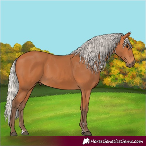 Horse Color:Silver Bay 