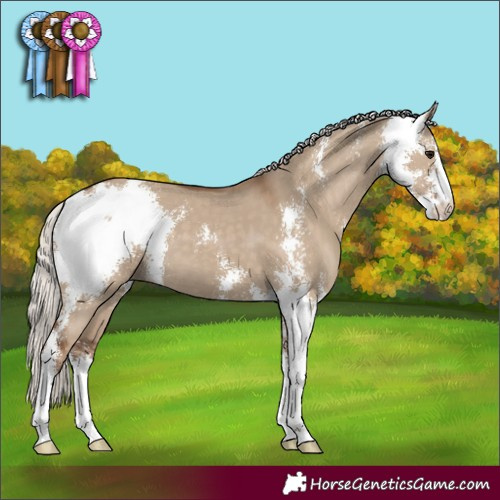 Horse Color:Silver Grullo Sabino
