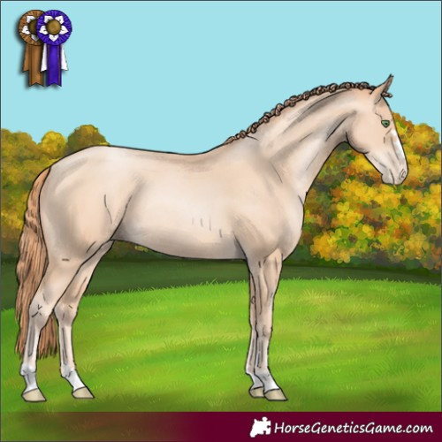 Horse Color:Classic Champagne Pearl Rabicano