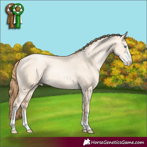 Horse Color:Gold Champagne Pearl Dun Sabino Rabicano