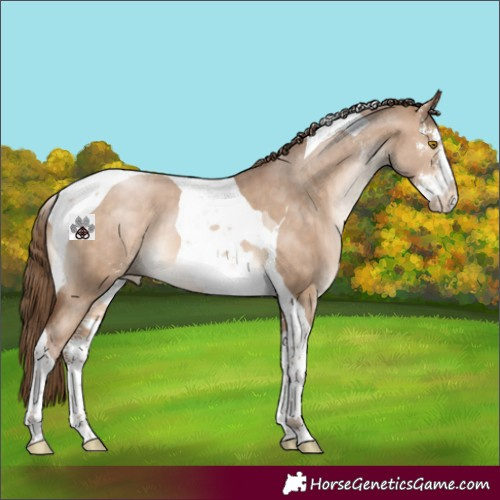 Horse Color:Brown Pearl Dun Sabino Tobiano Brindle