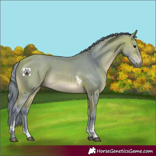 Horse Color:Watercolor Bay Tobiano