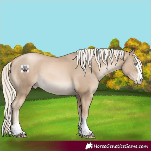 Horse Color:Chocolate Palomino Pearl 