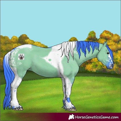 Horse Color:Watercolor Grullo Tobiano 