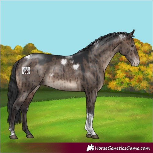 Horse Color:Brown Dun Mushroom Sabino Tobiano Rabicano Brindle