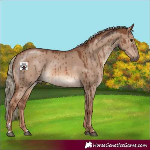Horse Color:Red Dun Mushroom Brindle 