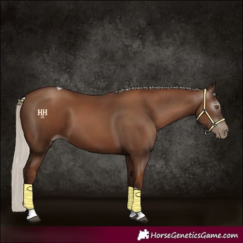 Horse Color:Gray Silver Black Pearl Tobiano