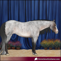 Horse Color:White Spotted Brown Roan Splash