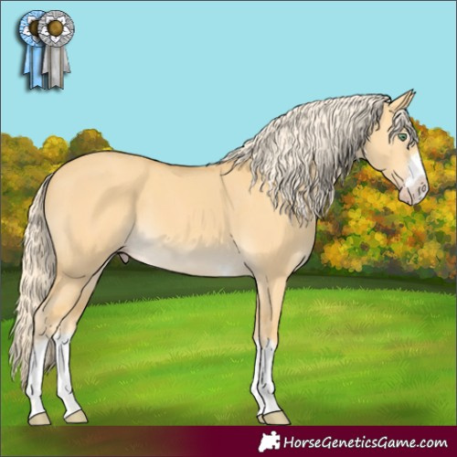 Horse Color:Gold Cream Champagne Dun 