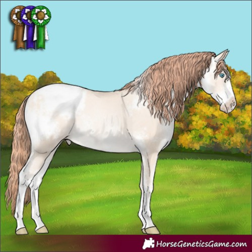 Horse Color:Classic Cream Champagne Pearl Sabino Appaloosa Rabicano 