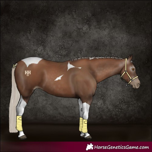 Horse Color:Gray Silver Black Pearl Tobiano