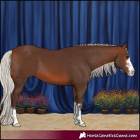 Horse Color:Silver Brown