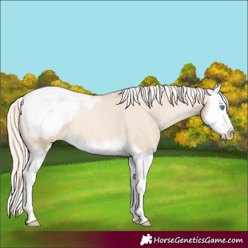Horse Color:Palomino Pearl Splash Snowcap