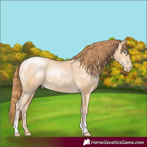 Horse Color:Buckskin Pearl