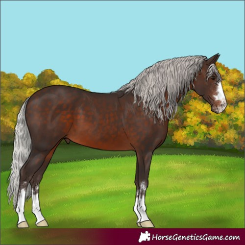Horse Color:Silver Brown 