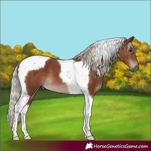 Horse Color:Silver Black Tobiano