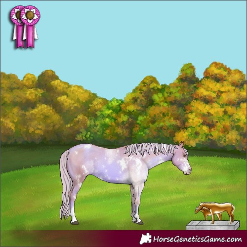 Horse Color:Watercolor White Spotted Liver Chestnut Pearl Sabino Varnish Rabicano 