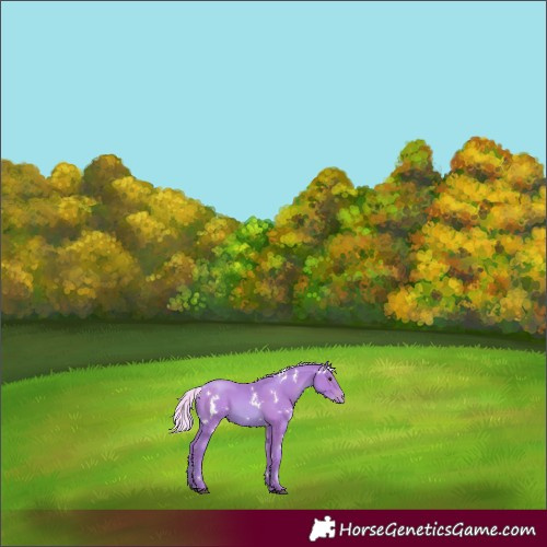 Horse Color:Watercolor White Spotted Silver Black Pearl Rabicano 